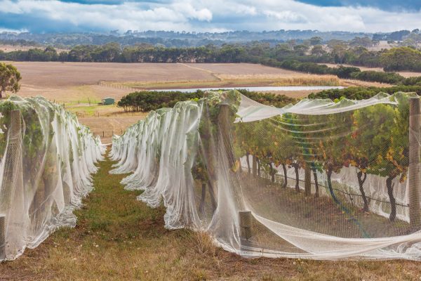 Pest Control Nets - Australia