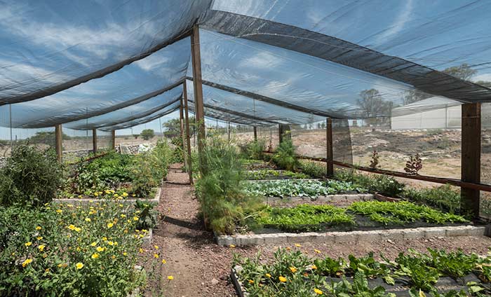 A Guide to Using Shade Cloth in Your Garden - Commercial Netmakers